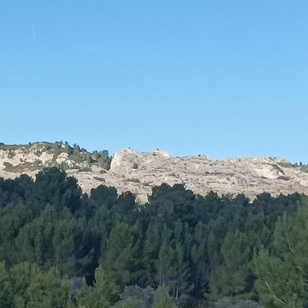 Chambre D'Hote Au Coeur Des Alpilles Mouries Εξωτερικό φωτογραφία