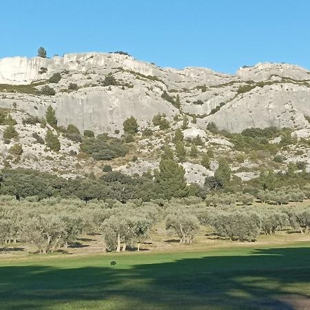 Chambre D'Hote Au Coeur Des Alpilles Mouries Εξωτερικό φωτογραφία